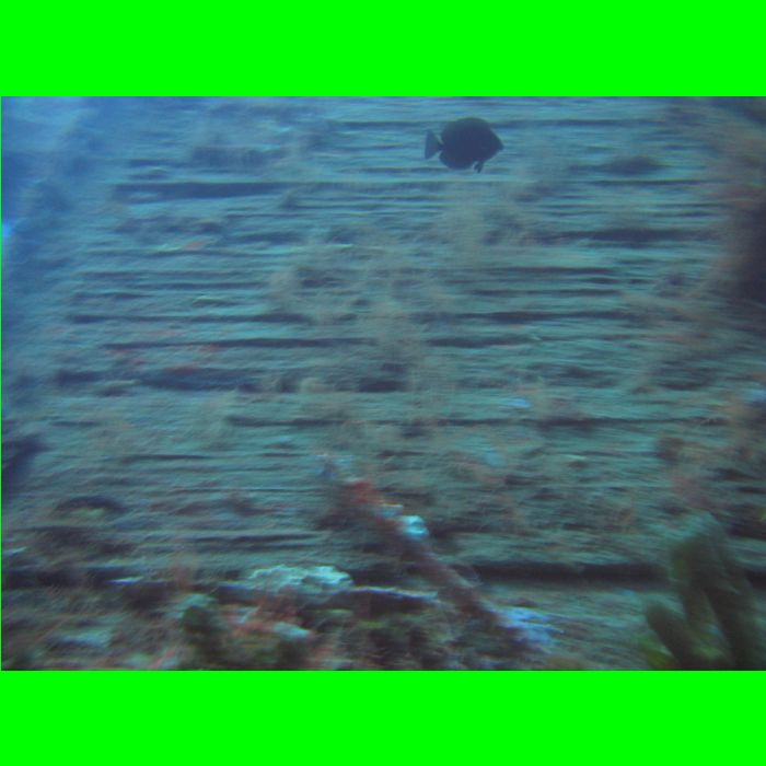 Dive WP Wrecks 25-Oct-09_310.JPG
